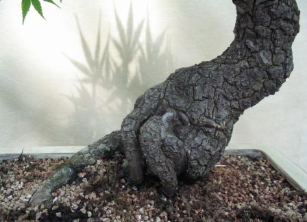 09_06_ÂŁĂłdÂź 029a.jpg