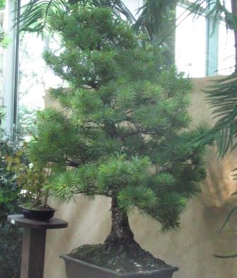 09_06_ÂŁĂłdÂź 044a.jpg