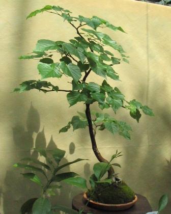 09_06_ÂŁĂłdÂź 025a.jpg