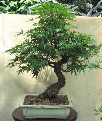 09_06_ÂŁĂłdÂź 027a.jpg