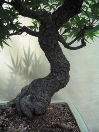 09_06_ÂŁĂłdÂź 028a.jpg