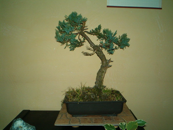 najwczeÂśniejsze foto jakie mam niestety bez wyjÂściowego materiaÂłu