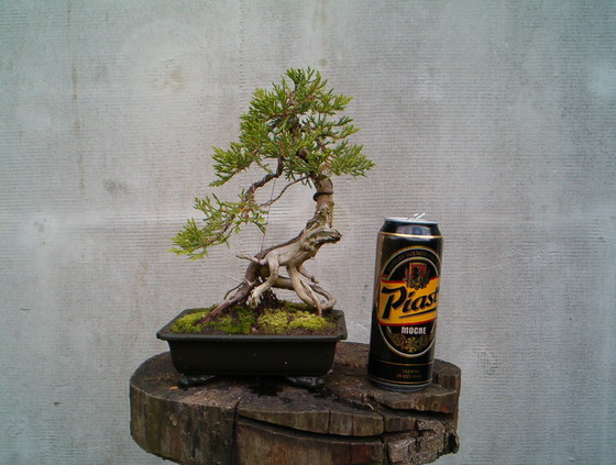 maÂłe porĂłwnanko