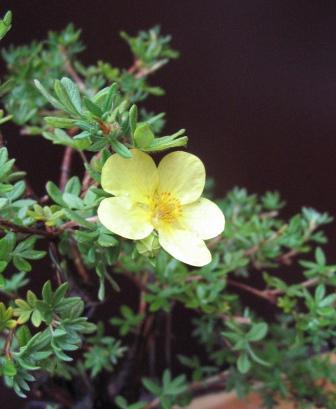 a18_06 059_ok_kwitnie.jpg