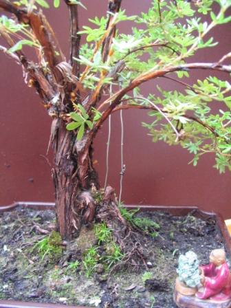 a18_06 020_Ok_pieĂą.jpg