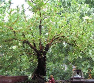 a18_06 051_ok_caÂłoÂśĂŚ.jpg