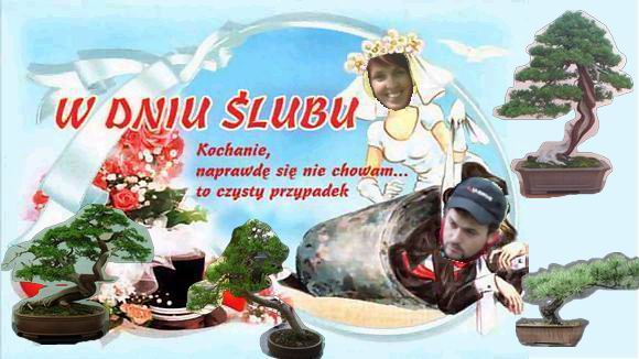 Wielki DzieĂą Kariny i Bolasa.