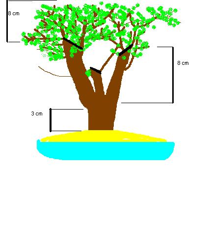 niestety tylko obrazek