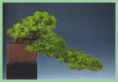 pewnie o coÂś takiego ci chodzi