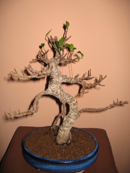 zdj.31.07.06 002.jpg