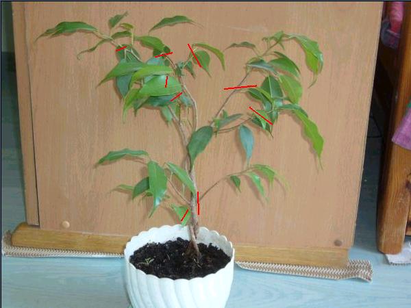 narazie chyba przytnĂŞ to w ten sposĂłb, a potem siĂŞ zobaczy ;)