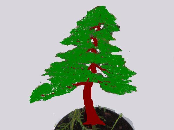 do takiej formy chciaÂłbym doprowadziĂŚ drzewko,a le to oczywiÂście jeszcze moÂże siĂŞ zmieniĂŚ :)