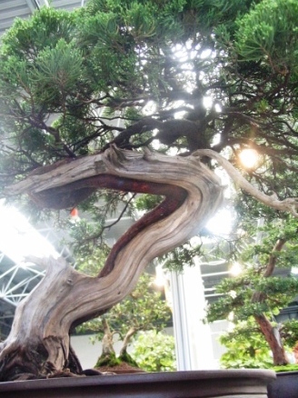 sierp_25 Expo_02_jaÂł_Vacka.jpg