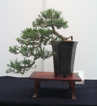 sierp_25 Expo 18.jpg