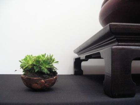 sierp_25 Expo 17 dodatki.jpg