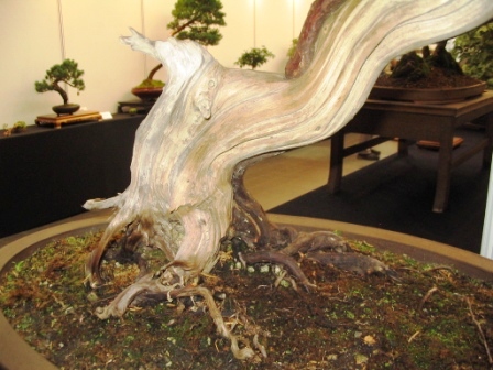 sierp_25 Expo 16 jin.jpg