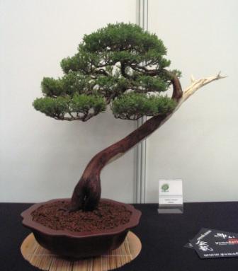 sierp_25 Expo 17.jpg