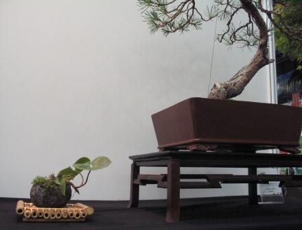 sierp_25 Expo16 dodatki.jpg