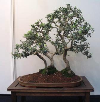 sierp_25 Expo 27.jpg