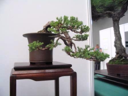 sierp_25 Expo 29.jpg