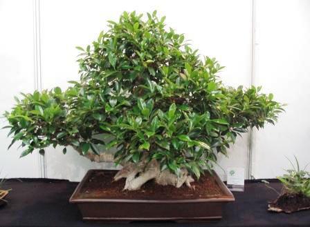 sierp_25 Expo 22.jpg