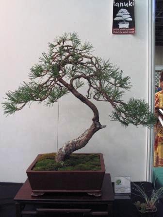 sierp_25 Expo 23.jpg