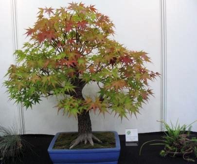 sierp_25 Expo 20.jpg