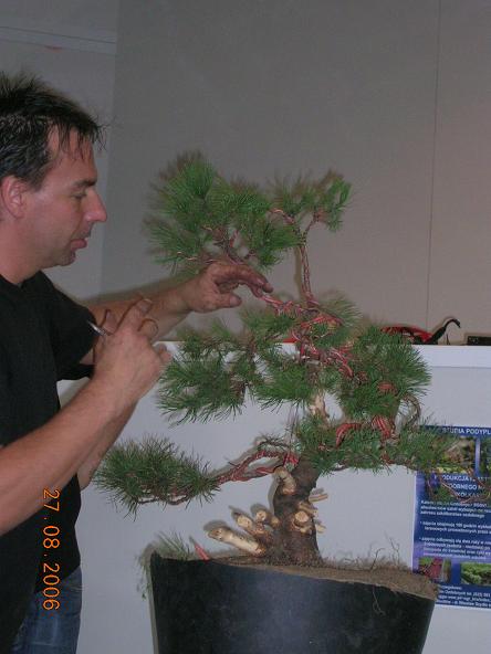 Asystent poszedl pozowaĂŚ, a mistrz pracuje.