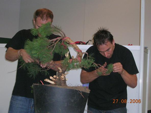 Te gaÂłĂŞzie chyba majÂą robaki!?!