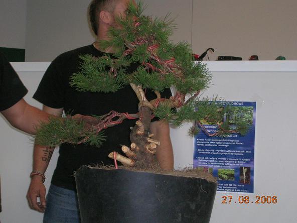 SpĂłjrzcie na ciekawy tatuaÂż.