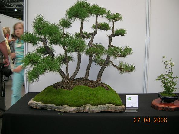 Wiesz o co mi chodzi?!?