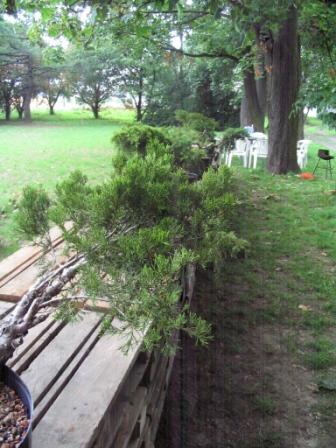 02 sierp_19 004b.jpg