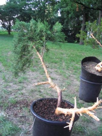 15 sierp_19 017b.jpg