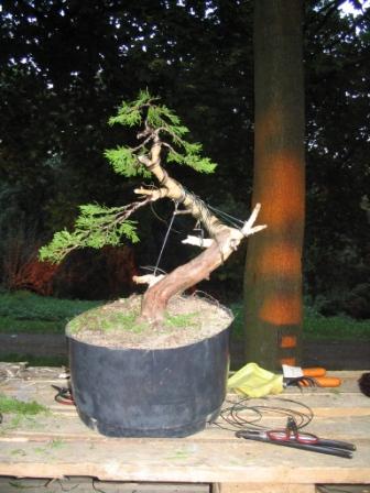 21 sierp_19 010 Jacka praca.jpg