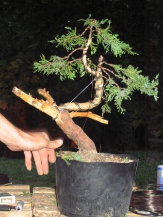 22 sierp_19 012 inna praca.jpg