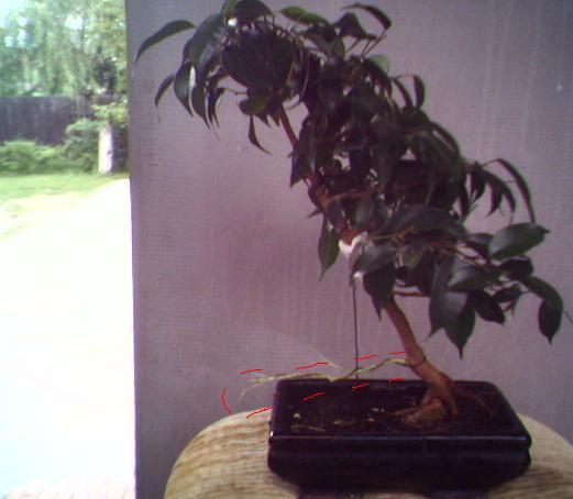 Mysle nad usuniĂŞciem tego jinu co o tym myslicie?