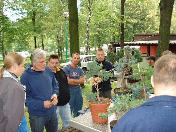 Omawianie przywiezionych drzewek.