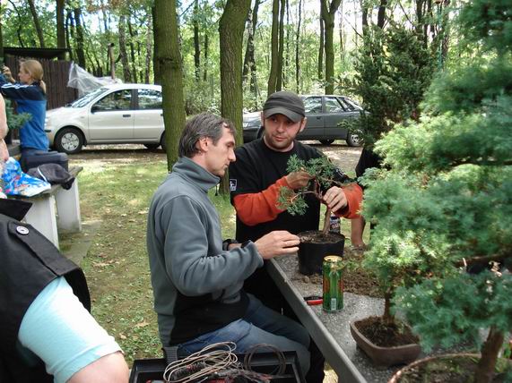 Rolqa i KorzeĂą - konsultacje.