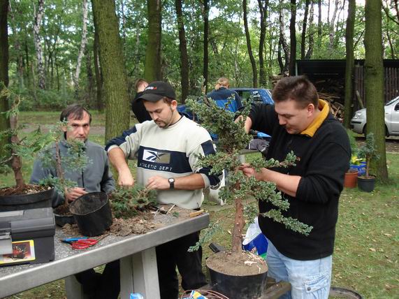 KorzeĂą, Bolas i Oliwia99.