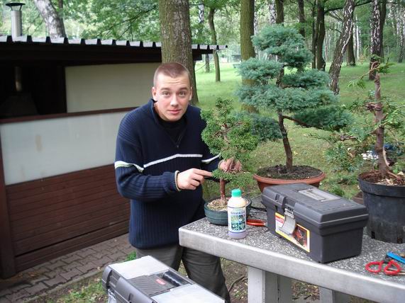 Ziemniok pracuje nad swoim jaÂłowcem.