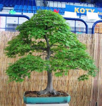 10_awrze_08 okoÂło 50 lat.jpg