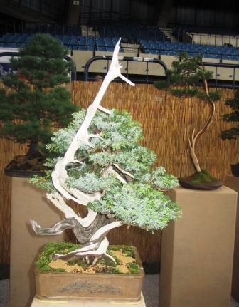 8_awrze_08 Znany w UE.jpg