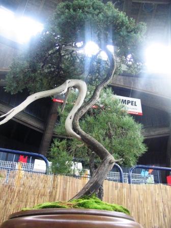 5_awrze_08_jaki to ptak.jpg