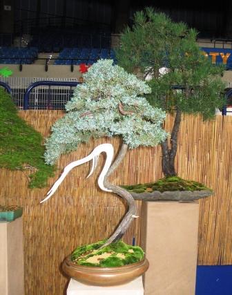 6_awrze_08 znany w UE.jpg