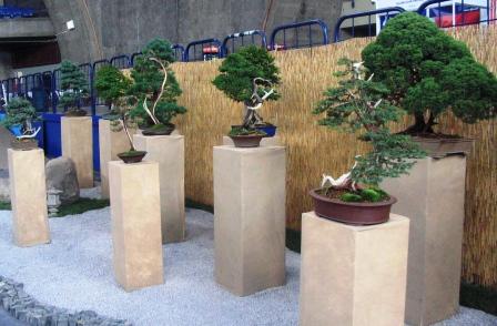 4_awrze_08_ogĂłlnie II.jpg