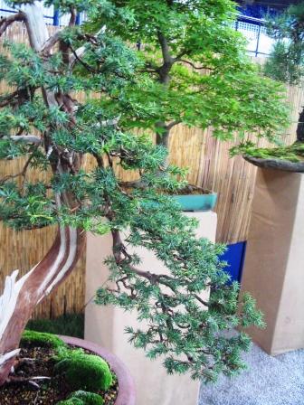 17_awrze_08_szcegĂłÂł Jacka.jpg