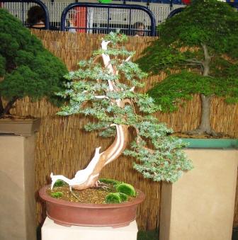 18_awrze_08_ nowe Jaca.jpg