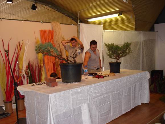 Tomek Âłapie siĂŞ za gÂłowĂŞ. Ludzie, co z tego wyniknie!?