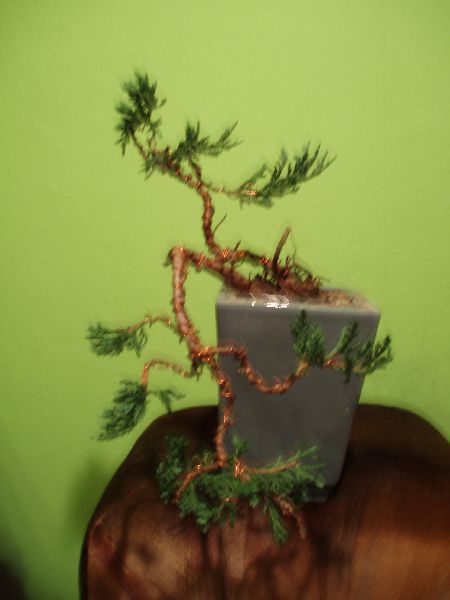 JaÂłowiec -styl....