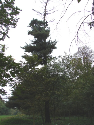 SÂłabsza jakoÂśĂŚ bo ÂświatÂło sÂłabe :(